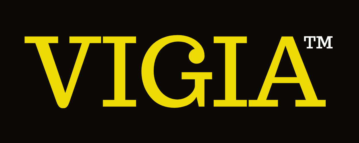 Vig IA (Vigía)™